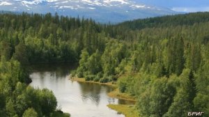 Лосиный клещ или Оленья кровососка. Опасно для жизни!