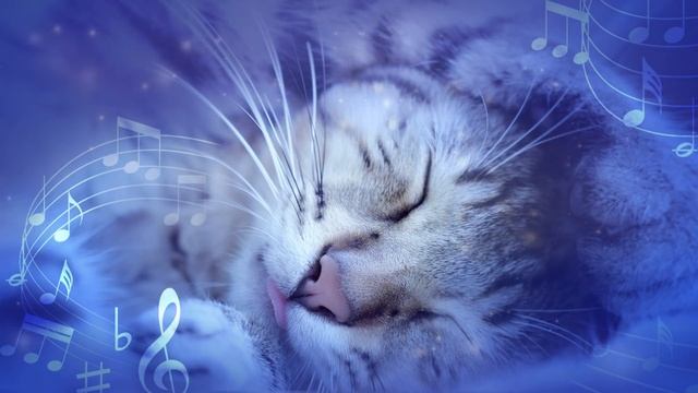 Healing music for stressed cats 10 hours ♬ Music for cats with sounds that calm cats смотреть онлайн