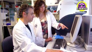 7 вымерших животных, которых хотят воскресить