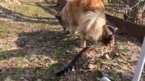 Впервые на улице