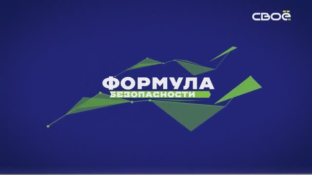 Формула безопасности. Пешеходы