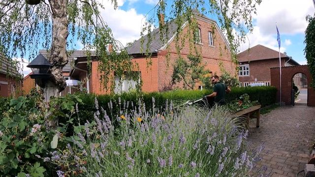 Trimming Beech and Yew Hedge смотреть онлайн