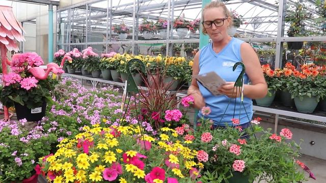 Tips for Keeping your Hanging Baskets and Flowering Containers Beautiful this Summer смотреть онлайн