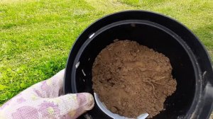 КАК ПОЧИНИТЬ ДЫРКУ НА СТАРОМ КАШПО