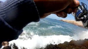 PESCA de corvina en las rocas || Fishing on the rocks with vinyl