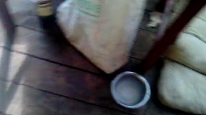 Укусила собака