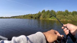 Бюджетный спиннинг Zemex Buriza 802ML. Крещение