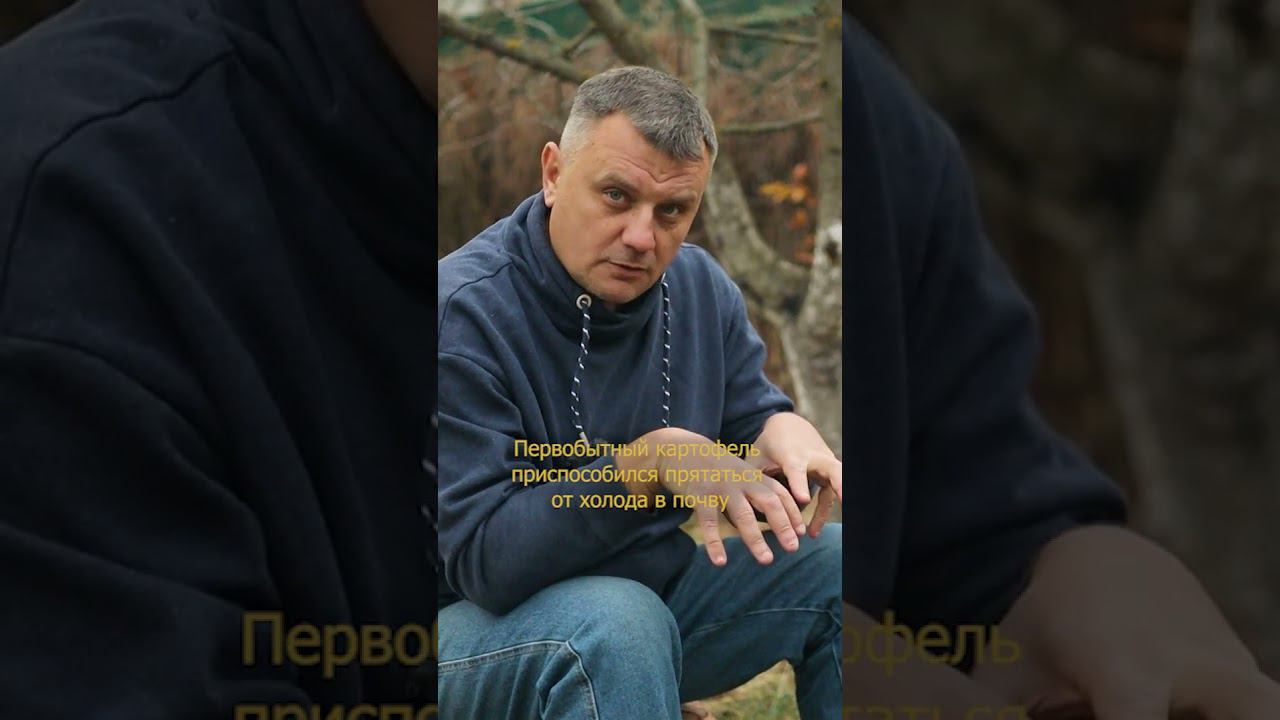 Как на самом деле увеличить урожай картофеля