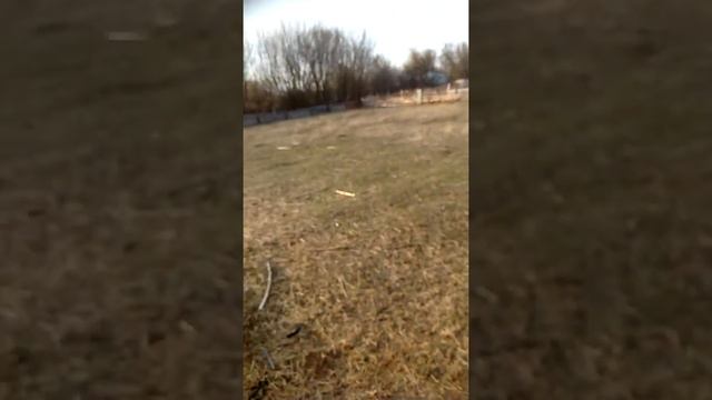 №11.Чем кормлю овец,выгодно или нет.затраты. смотреть онлайн