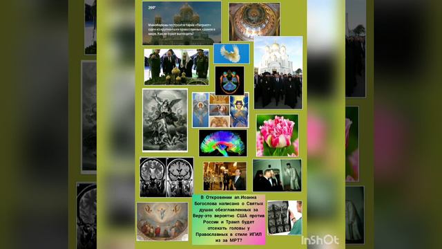 МРТ- мультфильмы на уровне МРТ.