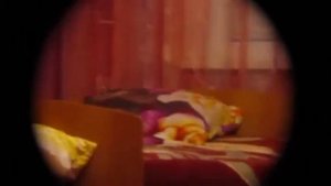 тест биноклей veber 8 30 и Asika 8 32