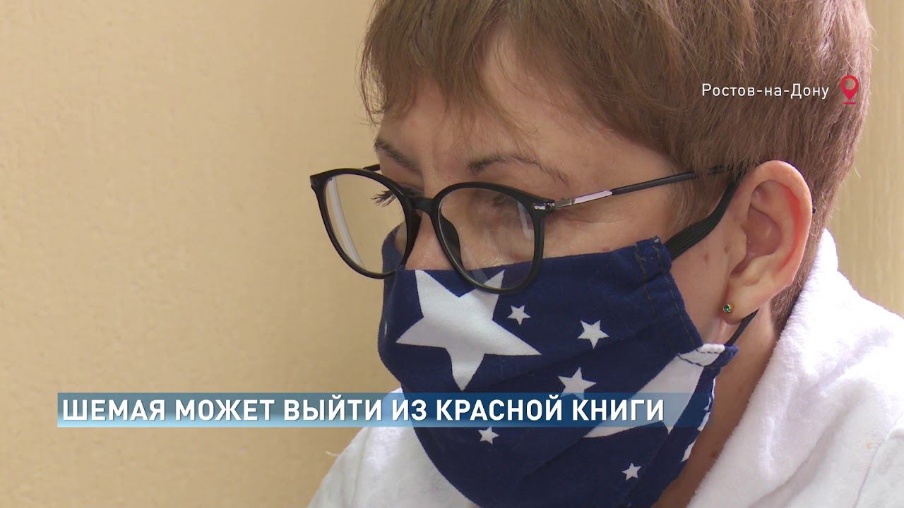 Шемая может выйти из "Красной книги"