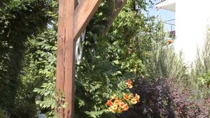 Крым. Коктебель. Отель "LEXX".