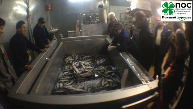 Водяной дефростер опрокидывающийся на 1000 кг загрузки. Для разморозки рыбы и морепродуктов