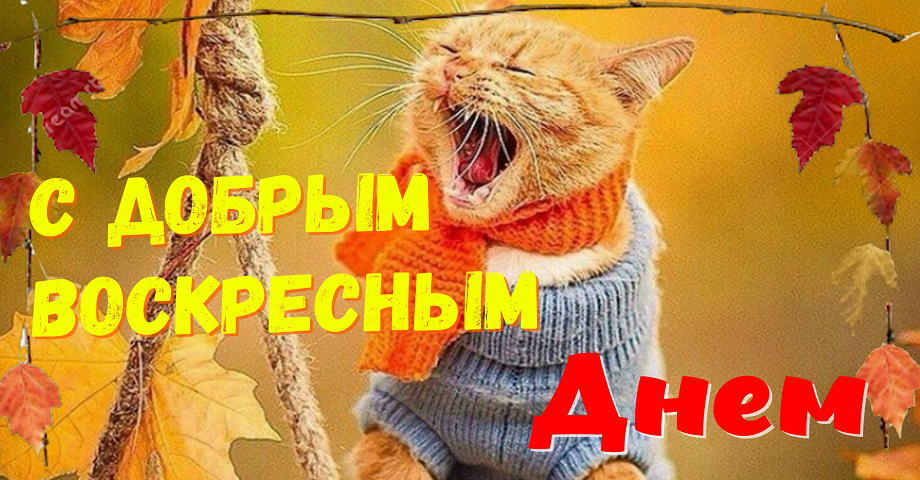Хорошего Воскресенья!? Замечательного Воскресенья!