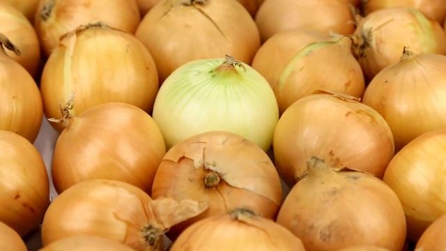 Когда сажать ЛУК ПОД ЗИМУ в октябре, ноябре 2023. ЛУЧШИЕ ДНИ по лунному календарю для посадки лука смотреть онлайн