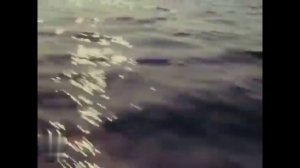 Мы долго ждем любви