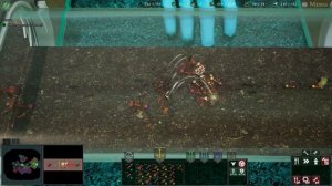 Empires of the Undergrowth - Наконец-то! Победа! Финал!