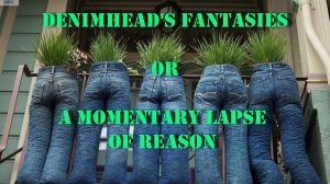 Фантазии джинсового маньяка. Безумные и умные.