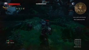 The Witcher 3: Wild Hint (Platinum Walkthrough) #12