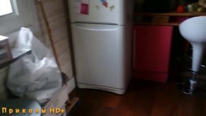 КОТЫ И ТОСТЕРЫ!!! Тостеры атакуют котов!!!