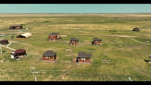 Заповедник "Оренбургский". Центр реинтродукции лошади Пржевальского. 2022 год.