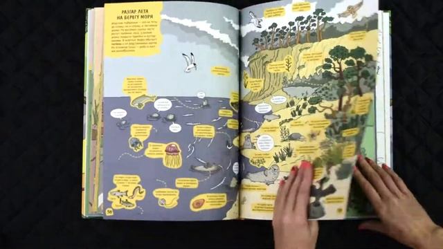 Природа. Смотри и удивляйся! смотреть онлайн