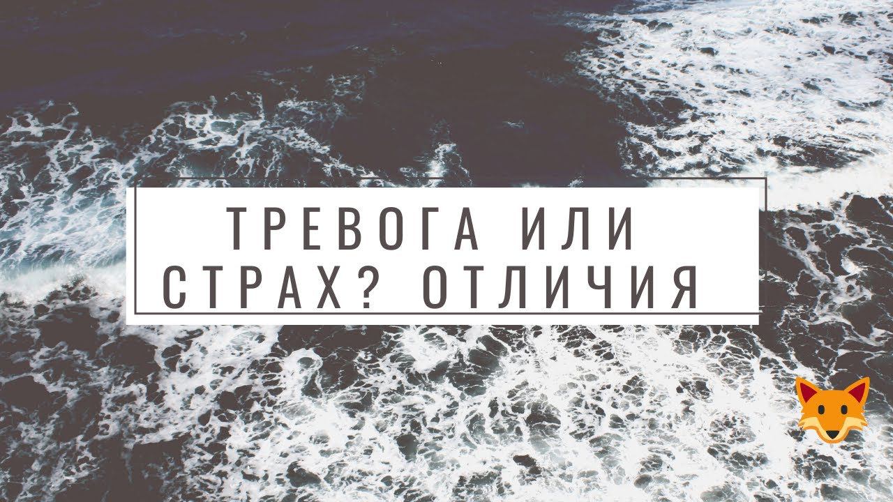 Тревога или страх? В чём отличие - рассказывает невролог Лисенкова #Shorts