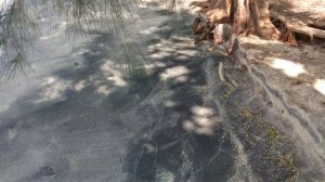 ? Пляжи лангкави 2020, лучшие пляжи острова, пляж с вулканическим песком. Отдых в Малайзии