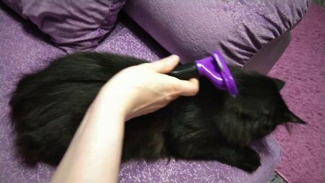 Фурминатор для больших и длинношерстных кошек использование смотреть онлайн