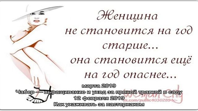 Декоративная черемуха краснолистная для украшения дачного участка