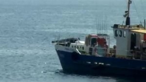 Удивительный отдых в Сукко на Черном море