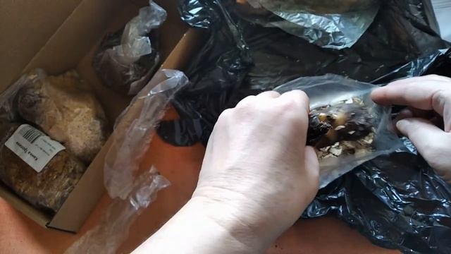 Пришла посылка с цветами / Канны/Цветы на даче/Sending flowers. Cannes смотреть онлайн