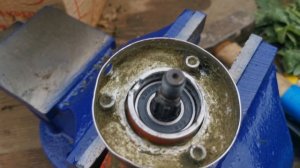 Износ пыльника (сальника) подшипника редуктора мотокосы: как не остановить работу?