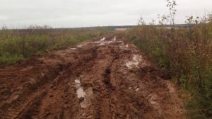 Отзыв о внедорожной резине "Форвард Сафари 540" , 29" спустя год эксплуатации на ниве