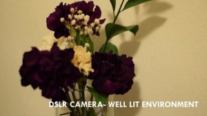 First Look: Raspberry Pi Night Vision Camera