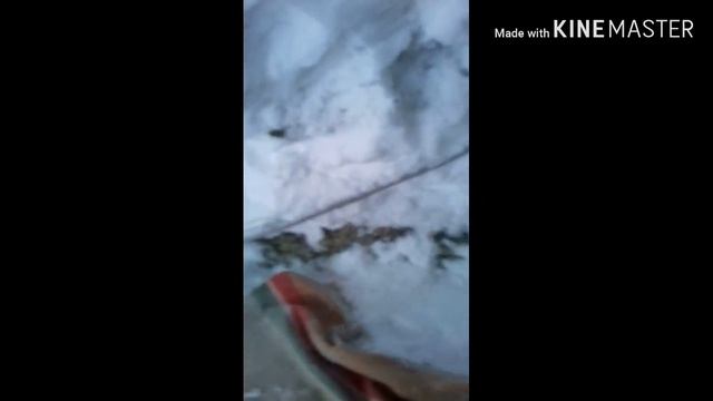 Дом из снега своими руками у себя в водворе смотреть онлайн