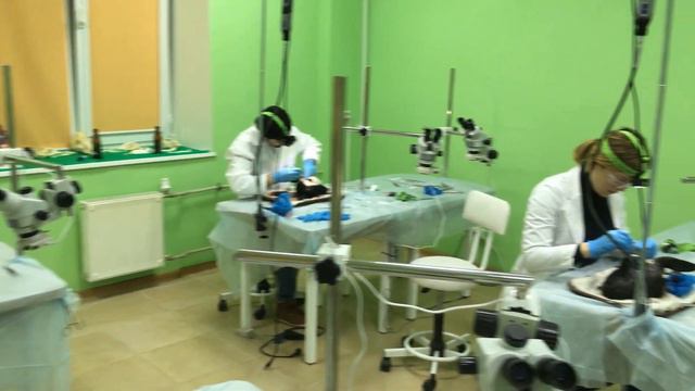 ОЗД [мастер-класс 25-26 января 2020] смотреть онлайн