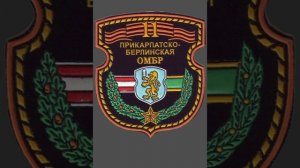 11 отдельная механизированная бригада Республики Беларусь шеврон (Слоним)