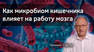 Как микробиом кишечника влияет на работу мозга. Хеннинг Сартор. Верба Майер. Микробиота