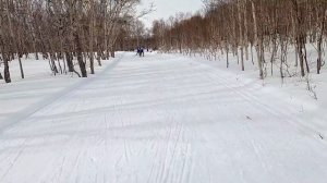 Камчатка - Авачинский лыжный марафон 2022 RussiaLoppet (60км)