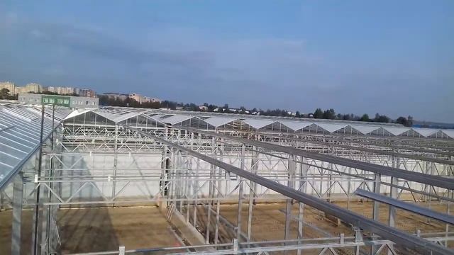Теплица 5 поколения