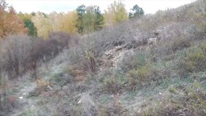 Лысая гора в Тульской области под городом Алексин