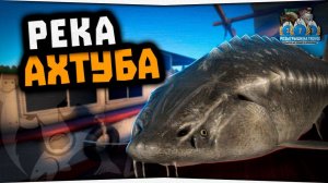 р. Ахтуба • Осётр Русский • Русская Рыбалка 4