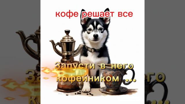 Хорошего дня