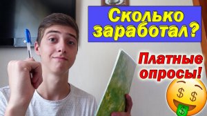 КАК я зарабатывал на ПЛАТНЫХ ОПРОСАХ. Показываю заработок