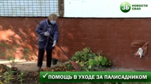 Один день из жизни дворника СВАО