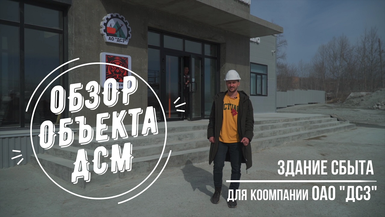 Обзор объекта ДСМ "Задние сбыта" для компании ОАО "ДСЗ"