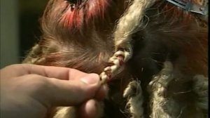 Плетение африканских косичек видео урок часть 2