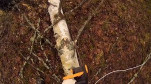 Электрическая цепная пила DDE CSE 2216